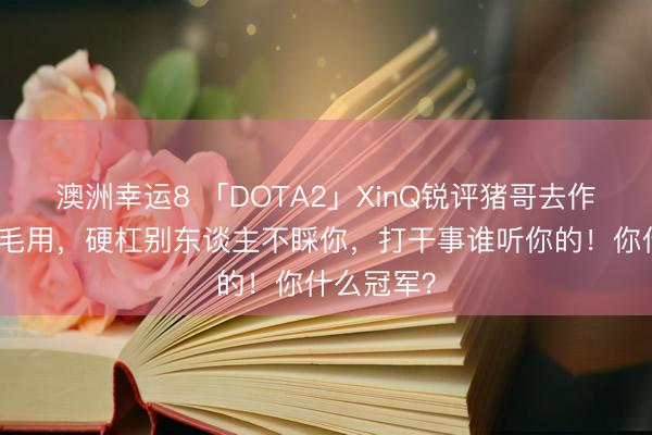 澳洲幸运8 「DOTA2」XinQ锐评猪哥去作念解说有毛用，硬杠别东谈主不睬你，打干事谁听你的！你什么冠军？